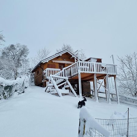 Villa Gnezdo Vid-Ik Catez ob Savi Esterno foto