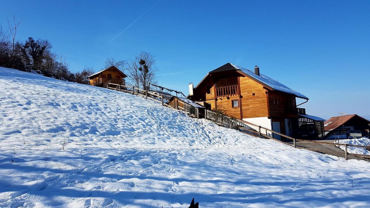 Villa Gnezdo Vid-Ik Catez ob Savi Esterno foto