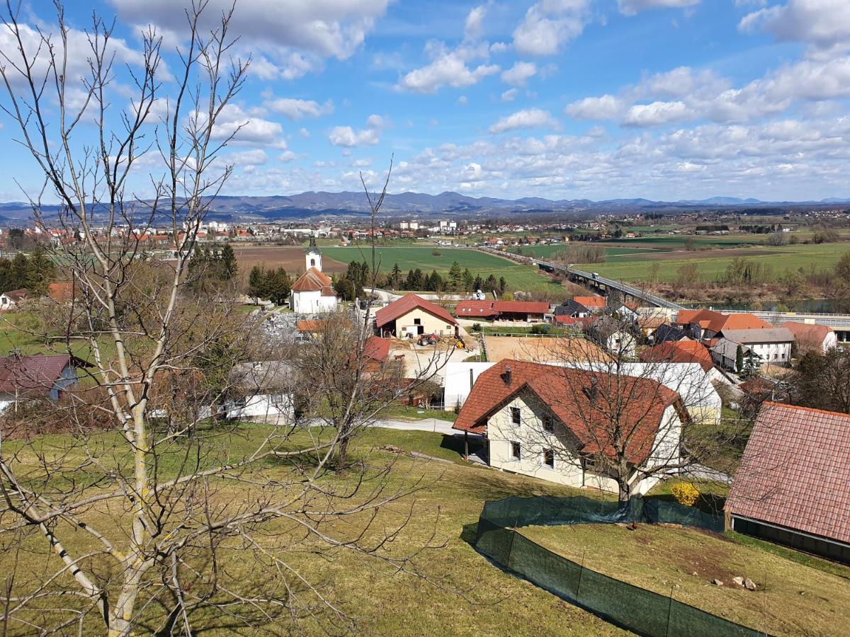 Villa Gnezdo Vid-Ik Catez ob Savi Esterno foto