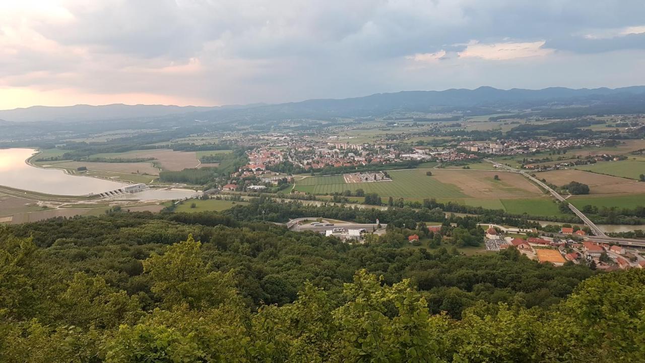 Villa Gnezdo Vid-Ik Catez ob Savi Esterno foto