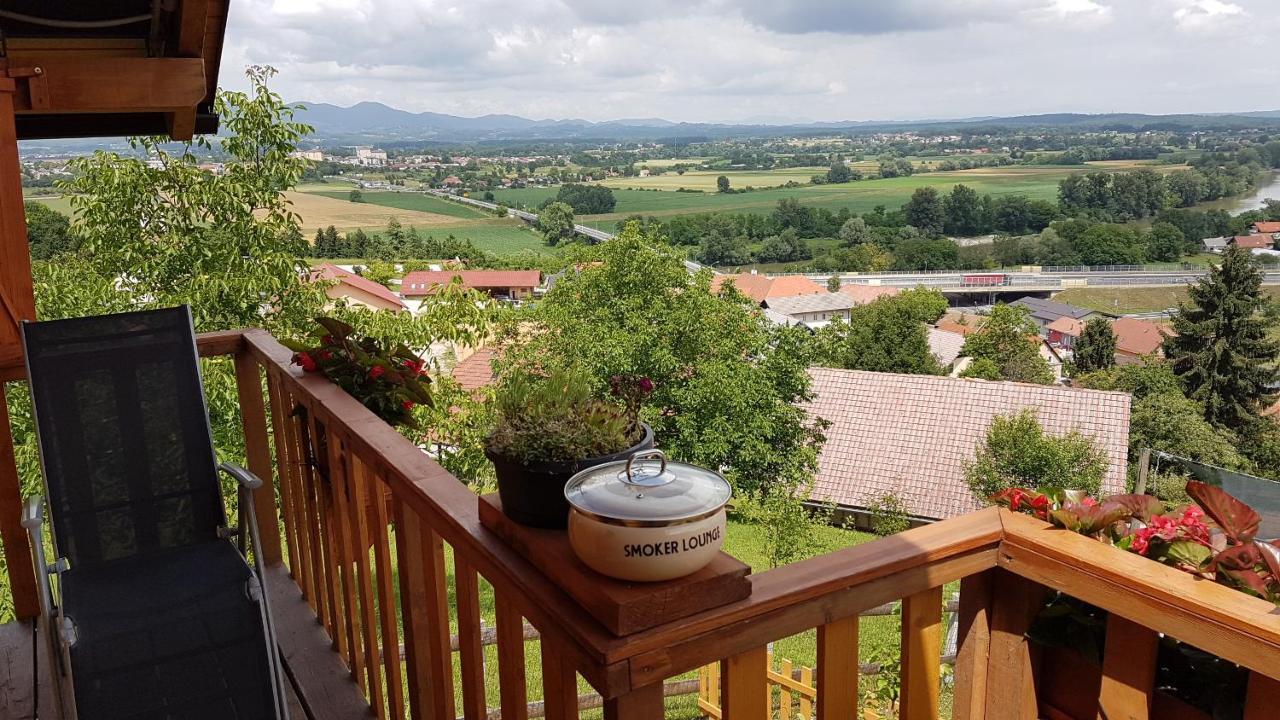 Villa Gnezdo Vid-Ik Catez ob Savi Esterno foto
