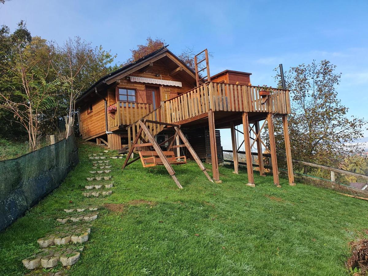 Villa Gnezdo Vid-Ik Catez ob Savi Esterno foto